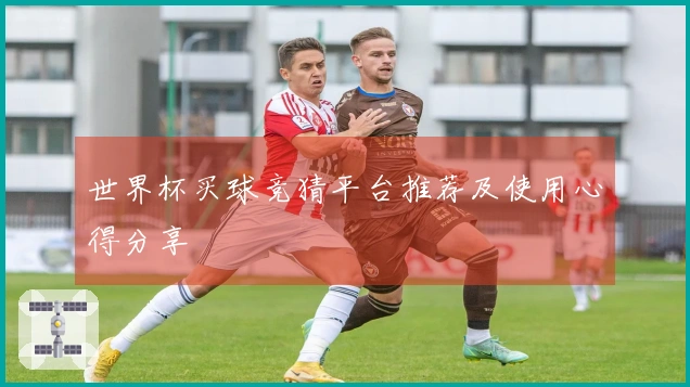 世界杯买球竞猜平台推荐及使用心得分享