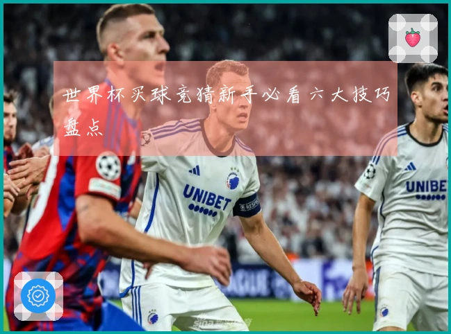 世界杯买球竞猜新手必看六大技巧盘点