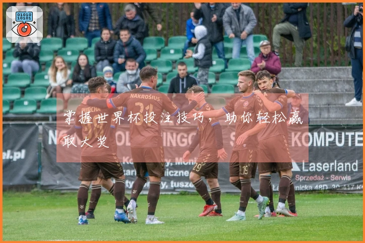 掌握世界杯投注技巧，助你轻松赢取大奖
