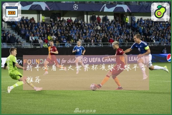 新手必看五大世界杯滚球买球平台推荐