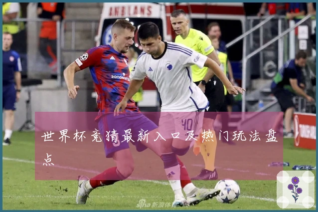 世界杯竞猜最新入口及热门玩法盘点